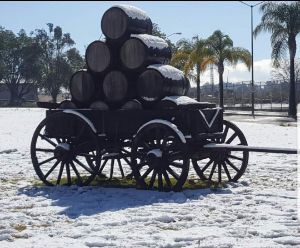 The day we visited Tequila Centinela and it snowed!